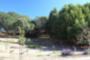 Rush Creek, Novato