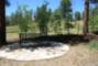 Tranquility in the Pines