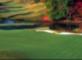 The 10th Hole at Hamilton Mill