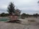 Homesites awaiting owners at Woods of Alon