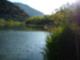 A Great Day for Fishing