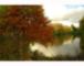 Another phot of Minoru Park
