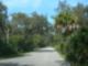 A recent trip to Myakka State Park