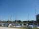 5700 Mariner Condominum Apart