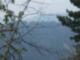 Amy Steele's Crestline