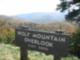 Wolf Mt.