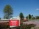 Belmont