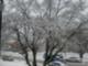 Winter Time Last Year!  