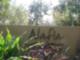 Alafia Preserve