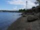 Evergreen Park looking out towards the Manette Bridge
