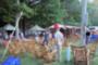 Woolfest