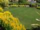 Beautiful Yellow Room "Hollis Garden"