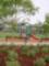 Sofia Park