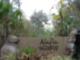 Alafia Preserve