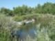 South Platte River, Littleton CO in the South Platte Park