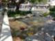 The Fountain at The Grove