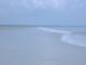 golden isles views
