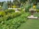 Plants and Herbs in the Summertime "Hollis Garden"