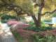 Prescott Park, Portsmouth, NH