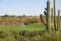 www.DesertMountainHomesOnline.com