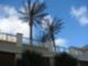 Sandpearl Residences