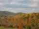 View of Fall in Goodview Landscape