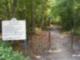 Crowfield Plantation walking trail to Lake Crowfield in the Hamlets