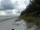 Nother nature is beautiful here in Sunset beach on treasure Island
