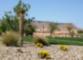 Sun City Mesquite NV Walking Trail
