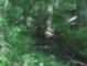 Photo_3f32ca5e5f6118cf603364f00b08cd7d15c68ef5b8134705ead9f9ca8b635c60_thumb