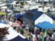 Bremerton Boardwalk :: Annual BlackBerry Festival
