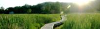 Green Initiatives