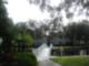 The Grande At Olde Carrollwood