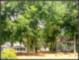 Harbor Oaks - Southport NC