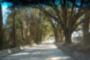 Scenic Drive