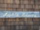 Amy Steele's Crestline