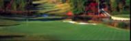 The 15th at Hamilton Mill