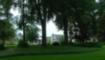 Town of Tioga