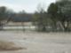 The lake at Woods of Alon