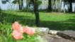 Springtime on Table Rock Lake