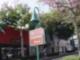 El Camino Bell