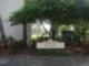 The Grande At Olde Carrollwood