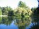 More photo of Minoru Park