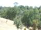 Country Heights Canyon View