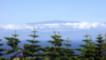 Facing North from Hawi