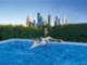 Pool - 2727 Kirby