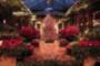 Don't miss the holiday light and fountain show at Longwood Gardens this Christmas - Poinsettias inside are awesome! 