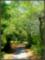 River Run Plantation