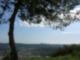 Glendale Hills View to Los Angeles