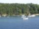 Brigham's Cove